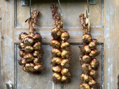 Streng gerookte knoflook