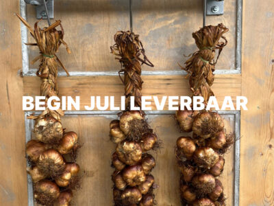 Streng gerookte knoflook